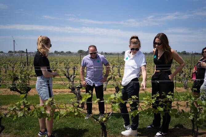 Wine Tour with Lunch in Niagara-on-the-Lake - In The Sum Up