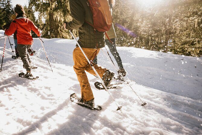 Winter Day Tour to Longmire on Mount Rainier from Seattle - What Makes This Tour Stand Out?