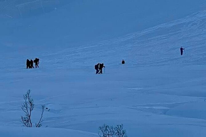 Winter Hiking Set for Snowshoes and Trek Poles - The Value of Instruction and Resources