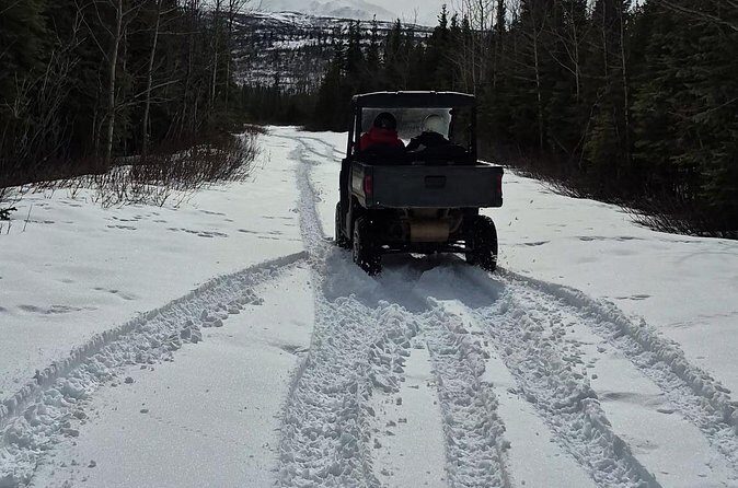 Winter Side by Side ATV Tour - The Itinerary: What to Expect