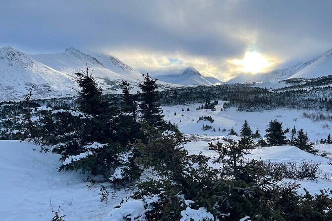 Winter Snowshoeing Adventure - Who Will Love This Tour?
