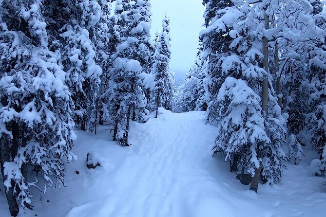 Winter Valley and Forest Hike - Final Thoughts: Is It Worth It?