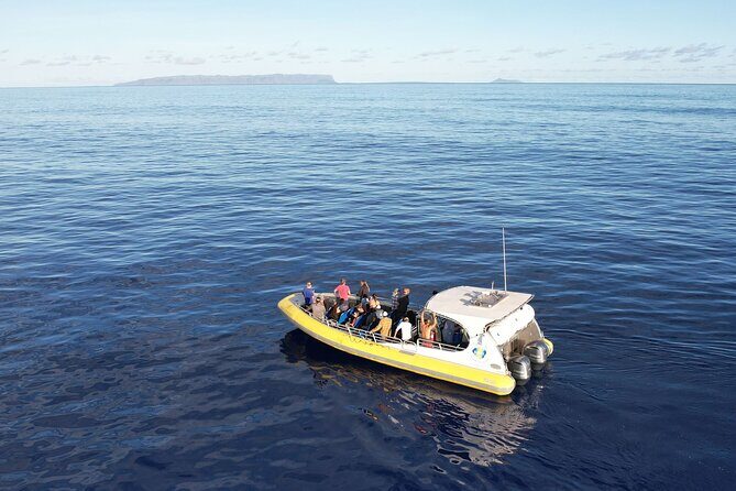 Winter Whale Watching Adventure in Kauai - What’s Included and How It Works