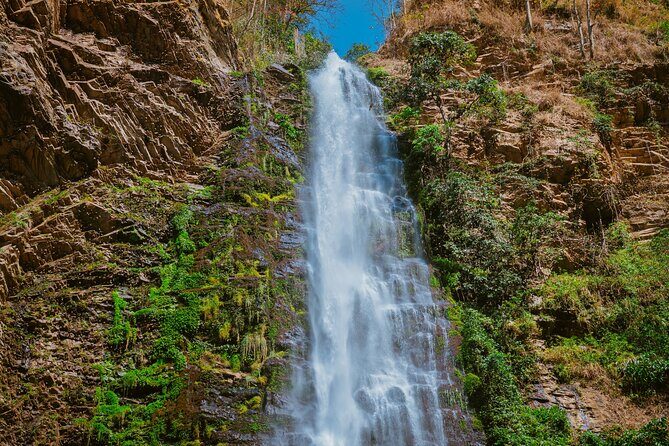 Wli Waterfall and Tafi Atome Monkey Sanctuary (Day Visit) - Final Thoughts