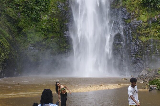 Wli Waterfall and Tafi Atome Monkey Sanctuary Tour - Analyzing the Value