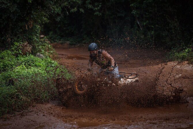 Wonderful Jungle Experience with Horse Riding, ATV, Ziplines and Cenote - What the Reviews Reveal About the Experience