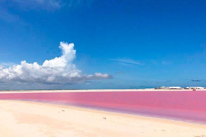 Wonderful Tour Las Coloradas & Buffete only from Cancun - Final Thoughts: Who Will Love This Tour?
