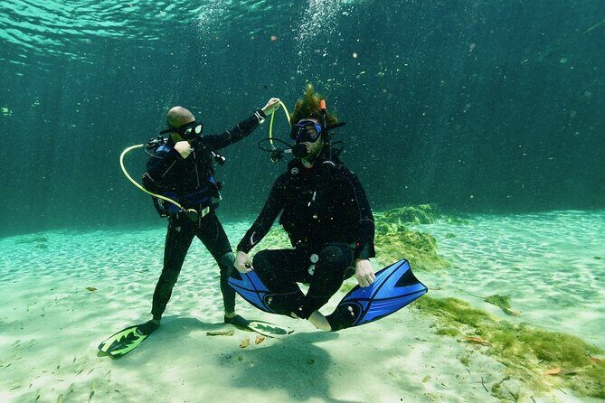 Wonders of the Underwater World: Discover Scuba Diving in Tulum - Why This Tour Works Well