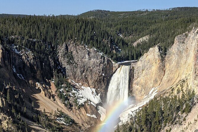 Wonders of Yellowstone Lower Loop Private Tour with Lunch - The Value Proposition