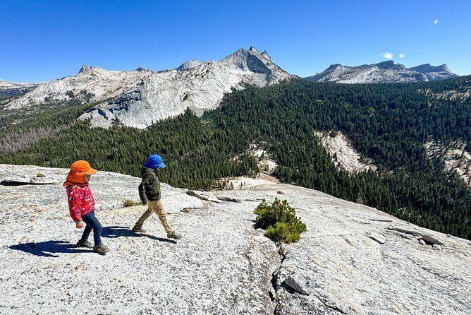 Wonders of Yosemite: Kid Friendly Private Tour - Who Should Book This Tour?