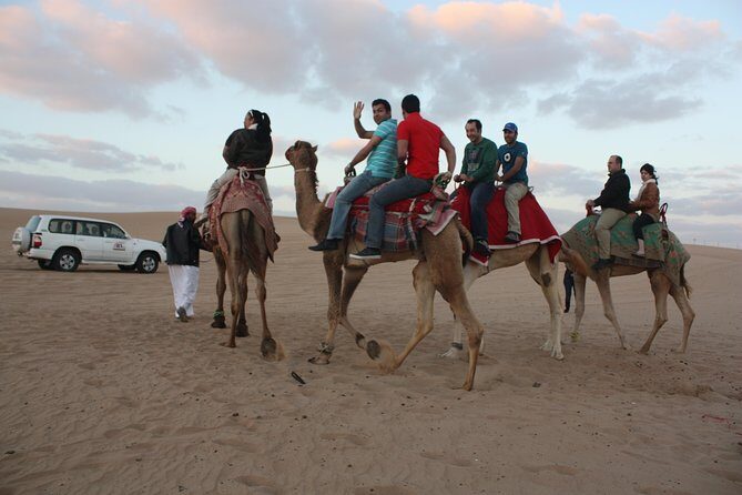 Wow Arabian Nights Tours Desert Safari Program with BBQ Dinner - The Real-World Experience and Traveller Feedback