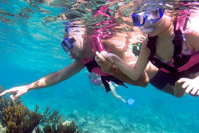 Xcaret Nature Adventure - Pricing and Value