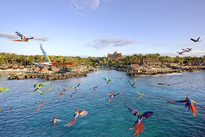Xcaret Park Day Tour & Night Show with Transportation - Who Is This Tour For?