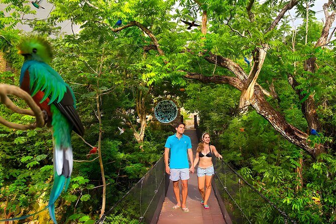 Xcaret Park Plus Tour! Nature, Culture and Nightshow from Cancun - Authentic Experiences and Traveler Insights