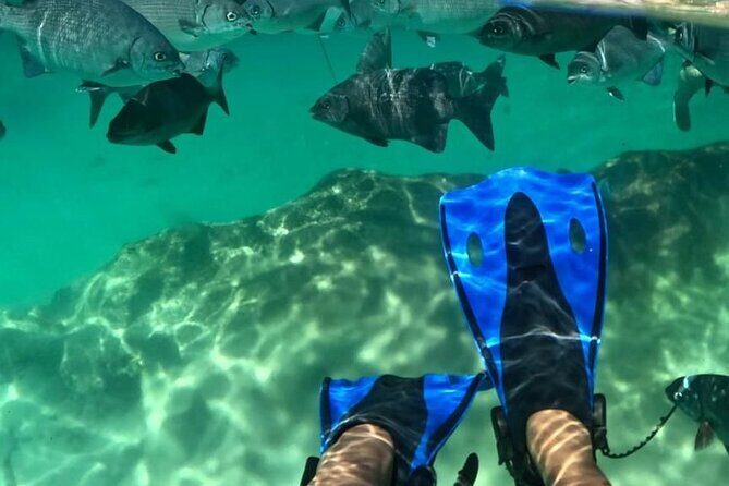Xel-ha All Inclusive Tour - What is Xel-Há?