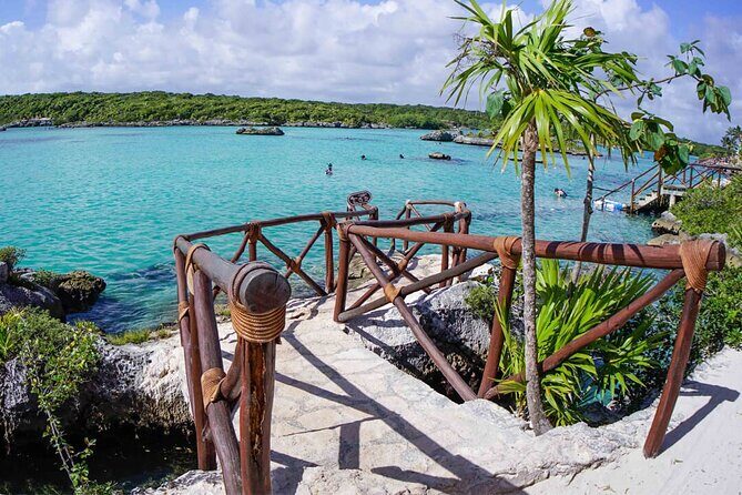 Xel-Ha Park All inclusive with Transportation from Riviera Maya - An In-Depth Look at the Xel-Ha Experience