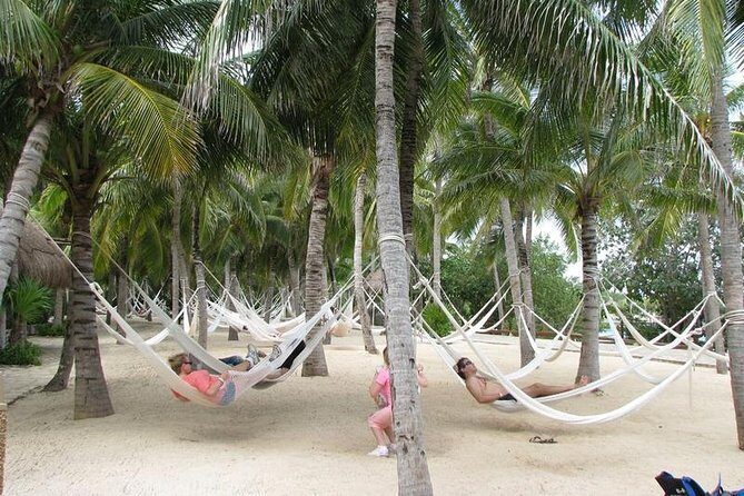 Xel Ha Park Snorkeling & Buffete & Open bar only from Cancun - Authentic Experiences and Traveler Insights