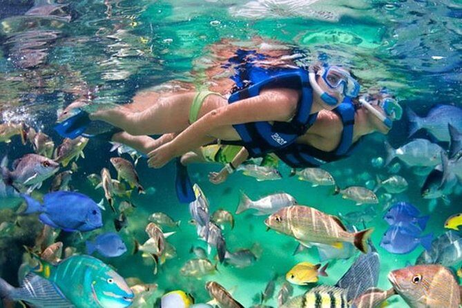 Xelha All Inclusive - The Realities: The Pros and Cons