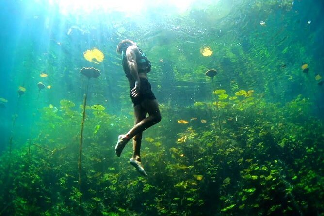 Xenotes Nature Adventure! Round Transportation From Cancun & Riviera Maya - Why This Tour Works Well