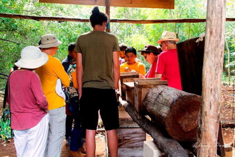 Xkopek, Mayan Bees Tour and Honey Tasting in Valladolid - A Deep Dive into the Experience