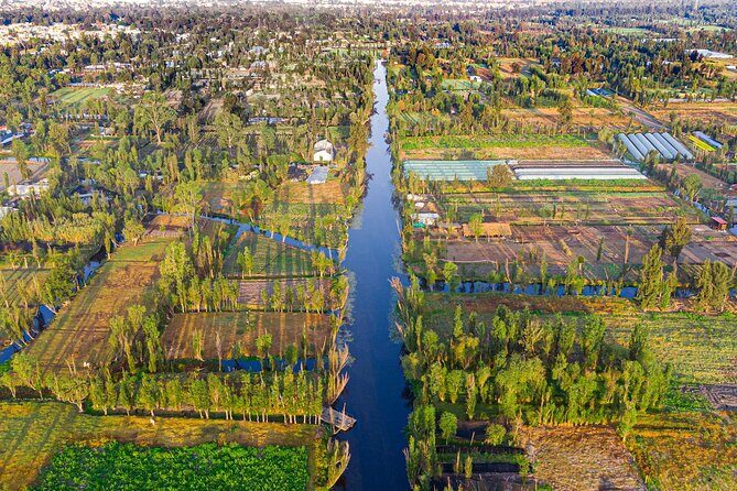 Xochimilco, Coyoacan and Frida Kahlo Museum Tour - Who Should Consider This Tour?