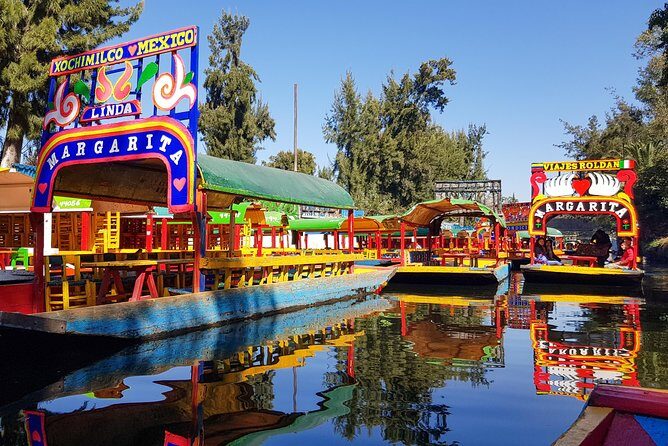 Xochimilco, Coyoacan, Aztec Stadium & UNAM - The Group Experience & Flexibility