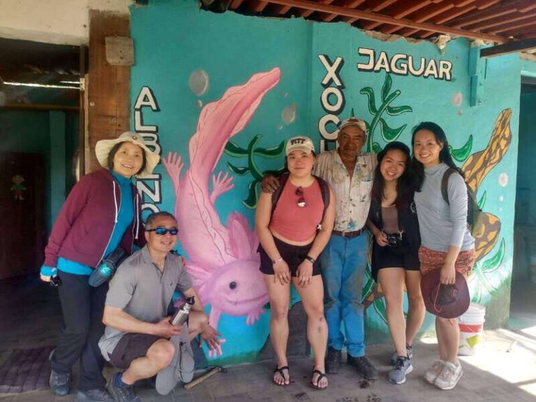Xochimilco Day Trip: Farmland Food and Hop on a Trajinera - What’s Included and What’s Not