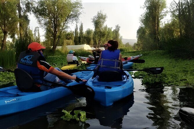 Xochimilco Day Trip Know a Farmland Food and Hop on a Trajinera - A Closer Look at the Itinerary