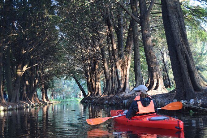 Xochimilco in Kayak - The Sum Up: Is This Tour for You?
