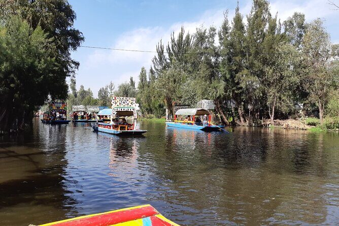 Xochimilco Tour - Who Should Consider This Tour?