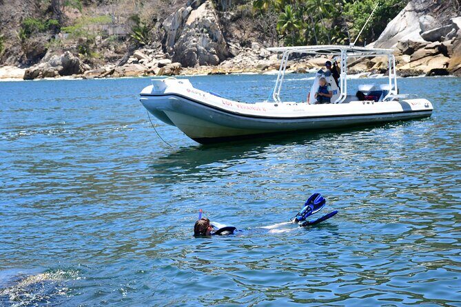 Yelapa Escape & Snorkeling in Puerto Vallarta by Speedboat - Snorkeling in Hidden Marine Havens