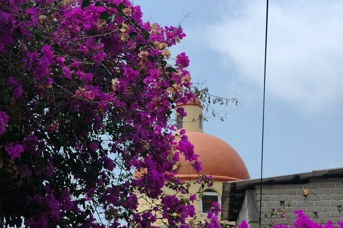 Yelapa escape - Final Thoughts: Is This Tour Worth It?