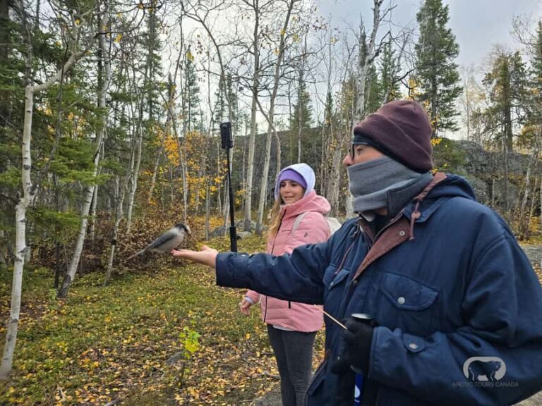 Yellowknife: Cameron Falls Nature Hiking Tour - FAQ