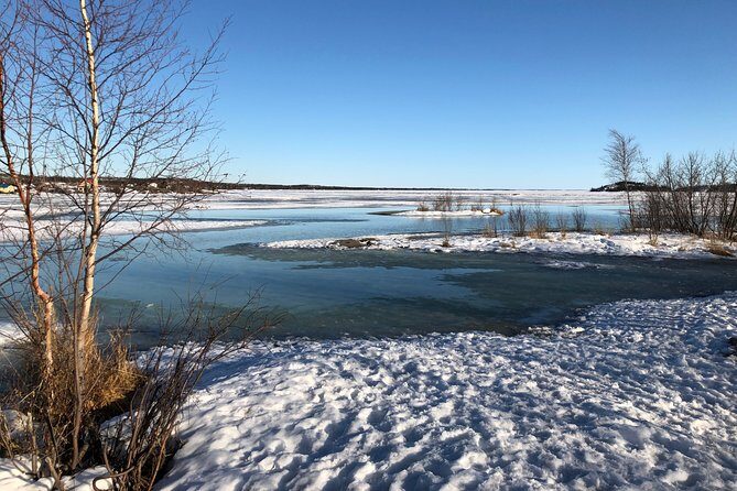 Yellowknife City Tour + Nature's North Wildlife Gallery - Transportation & Group Size