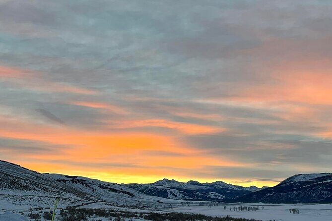 Yellowstone Full-Day Upper Loop with Wildlife Adventure w/Lunch - What Past Travelers Say