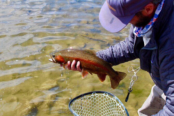 Yellowstone Full Day Wade Fishing Trip - FAQ