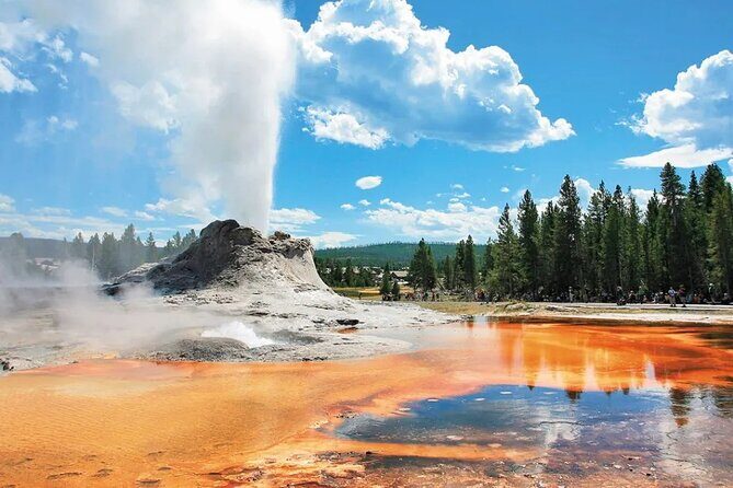 Yellowstone Grand Teton and Coeur dAlene 5-Day Tour from Seattle - Practical Aspects and What They Mean for You