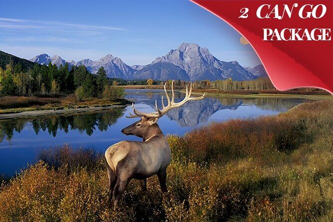 Yellowstone, Grand Teton, and Hot Springs: Small Group 5-Day Tour - The Itinerary: A Day-by-Day Breakdown