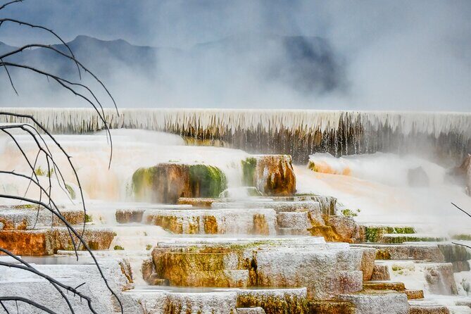 Yellowstone & Grand Teton National Parks Winter Tour 5-Day - Who Will Love This Tour?