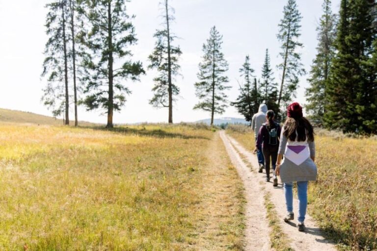 Yellowstone & Grand Tetons: 4-Day/3-Night Wildlife Adventure - Why This Tour Is a Good Deal