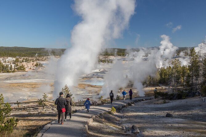 Yellowstone in a Day - Wildlife, Canyons, & Hot Springs - Who Will Love This Tour?