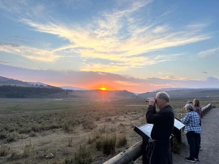 Yellowstone Lamar Valley & Picnic Lunch With Wildlife Guide - An In-Depth Look at the Yellowstone Lamar Valley & Picnic Lunch Tour