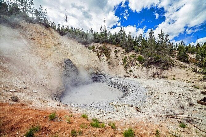 Yellowstone Lower Loop VIP Full-Day Private Tour with Lunch - What Makes This Tour Stand Out?