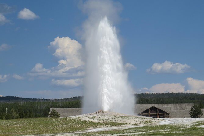 Yellowstone National Park - Full-Day Lower Loop Tour from West Yellowstone - Why Travelers Rave About This Tour