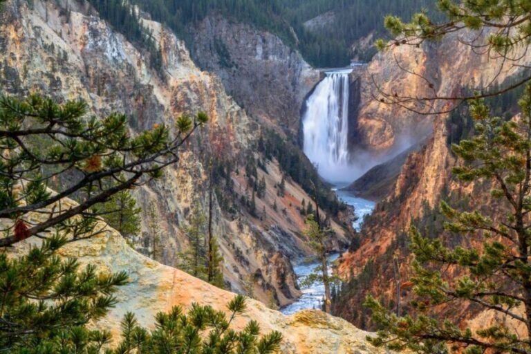 Yellowstone: Old Faithful, Waterfalls, and Wildlife Day Tour - The Practicalities: What You Need to Know
