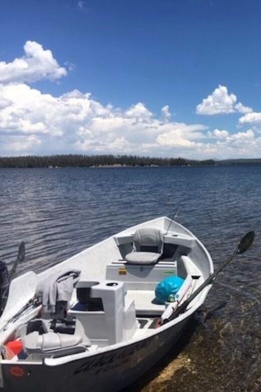 Yellowstone: Private Lewis Lake Fishing Trip From Jackson - The Itinerary: What to Expect