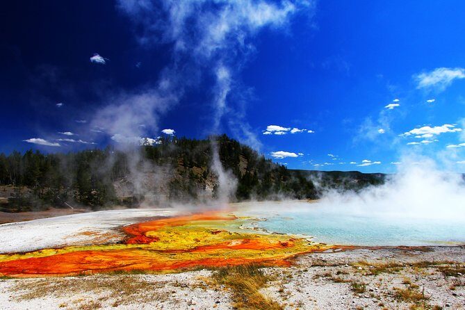 Yellowstone Private Lower Loop Adventure with Lunch - The Itinerary: What Sightings and Stops to Expect
