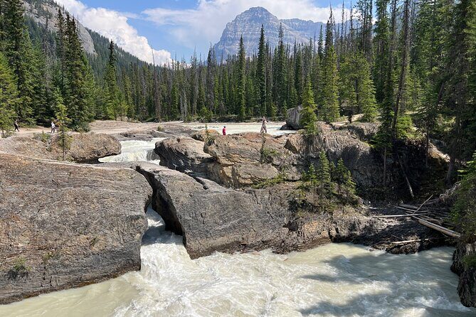 Yoho Day Tour, Emerald Lake, Natural Bridge and Takakkaw Falls - Why This Tour Offers Good Value