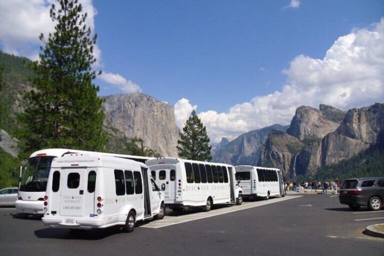 Yosemite: Full-Day Tour with Lunch and Hotel Pick-up - What To Expect During the Day