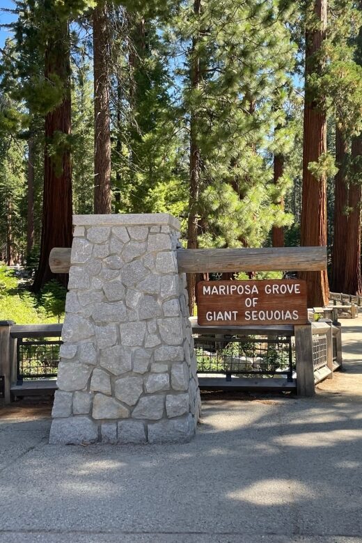 Yosemite, Giant Sequoias, Private Tour from San Francisco - Who Would Love This Tour?